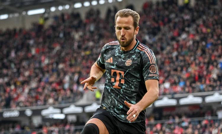 决定性作用 决定性作用