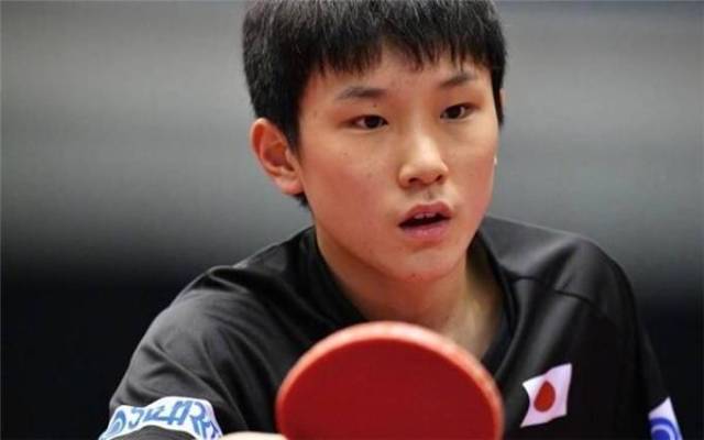 的战略弹性 的战略弹性